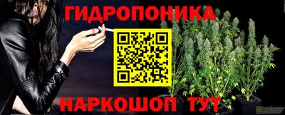 прущая мука Волгодонск
