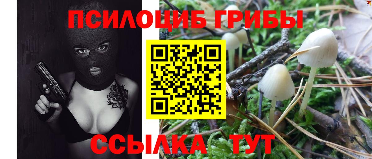 Йошкар-Ола  Псилоцибиновые грибы мицелий  Вход с VPN 
