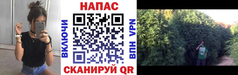 МАРИХУАНА Amnesia  купить  цена  Йошкар-Ола 