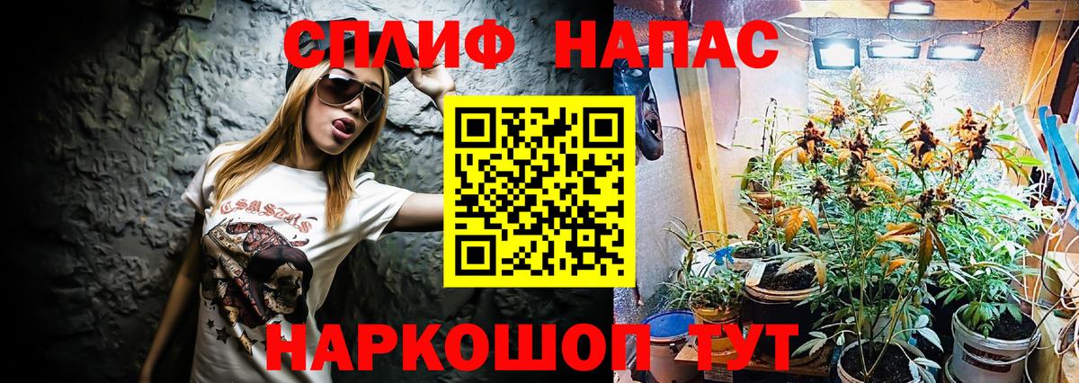 Конопля семена Йошкар-Ола